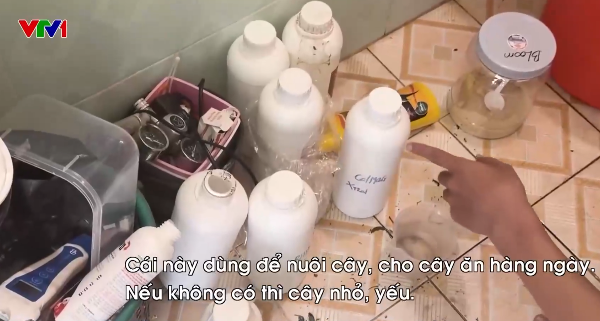 Triệt phá đường dây trồng, chế biến cần sa tại nhà ngay giữa Thủ đô- Ảnh 3.