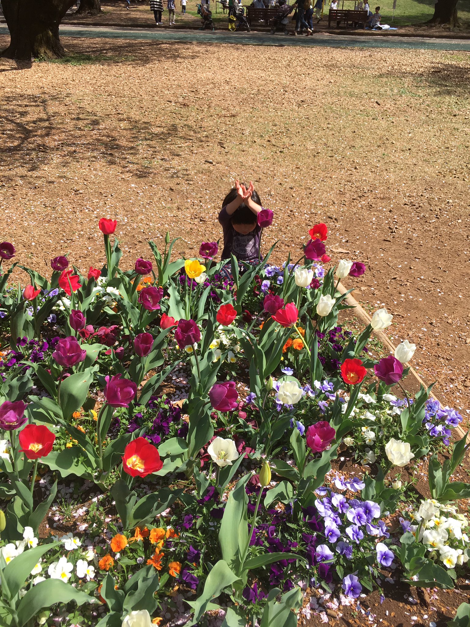 Cậu b&eacute; giả l&agrave;m hoa tulip năm 2019: H&agrave;nh tr&igrave;nh lớn l&ecirc;n đầy hồn nhi&ecirc;n - Ảnh 1.