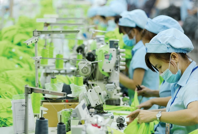 Tổng Thư kí Hiệp hội Dệt may: VinCons đưa ra mức lương rất cao, nếu chúng tôi trả lương như thế chỉ có sập tiệm - Ảnh 2. Tổng Thư kí Hiệp hội Dệt may: VinCons đưa ra mức lương rất cao, nếu chúng tôi trả lương như thế chỉ có sập tiệm - Ảnh 2.