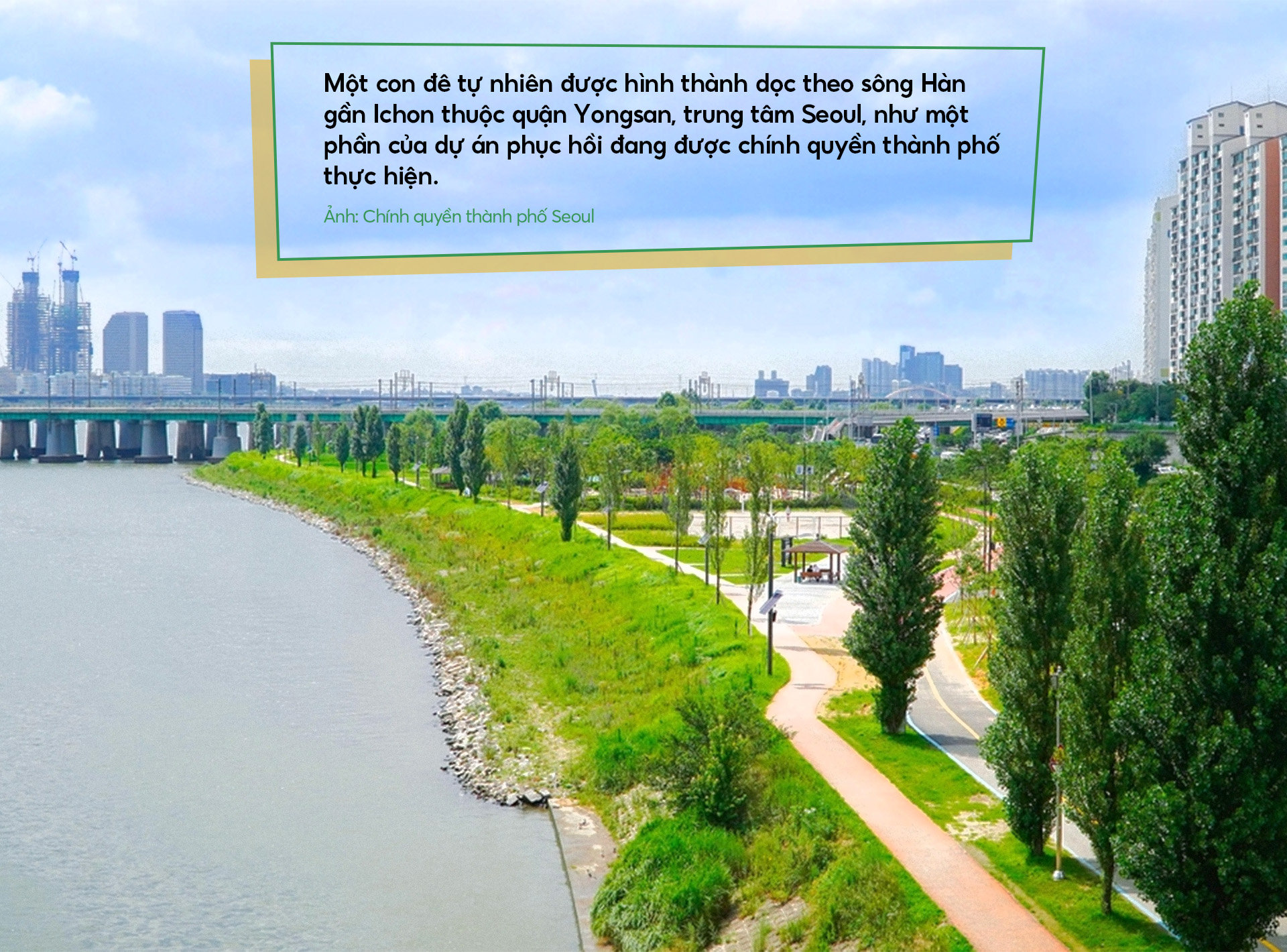 Bài 1: "Kỳ tích sông Hàn": Từ quy hoạch đến phát triển - Ảnh 5.