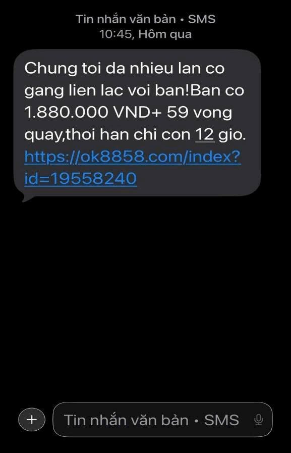  - Ảnh 3.