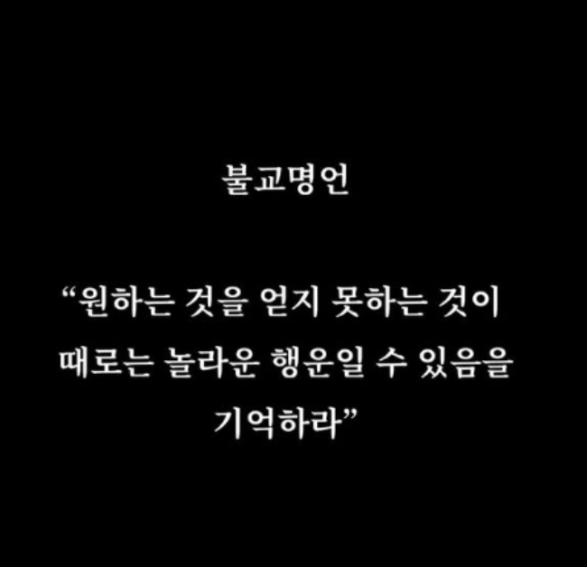  - Ảnh 4.