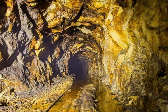 Nông dân 52 tuổi đào trúng 150 tấn vàng trị giá 120.000 tỷ đồng, chính quyền vội phong tỏa vườn nhà - Ảnh 3.