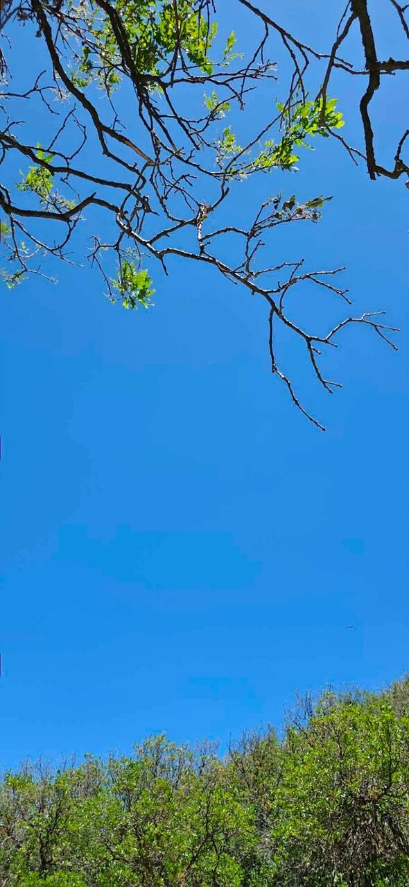 UFO bí ẩn treo lơ lửng trên trời suốt 6 gi, nhân chứng nói “chắc chắn không phải khinh khí cầu” - Ảnh 1. UFO bí ẩn treo lơ lửng trên trời suốt 6 gi, nhân chứng nói “chắc chắn không phải khinh khí cầu” - Ảnh 1.