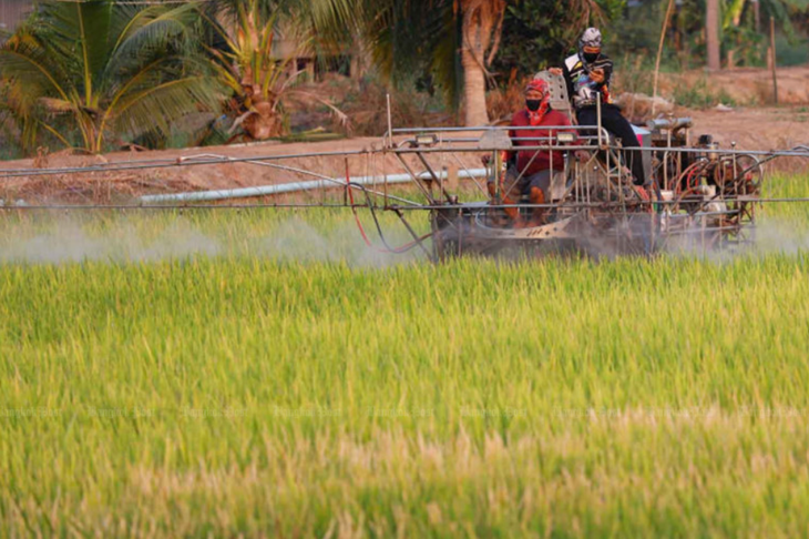 Thái Lan đứng trước nguy cơ mất 5,4 triệu tấn lúa vì Siêu El Niño: Ngành xuất khẩu gạo lớn đối mặt bài toán chưa từng có - Ảnh 2.