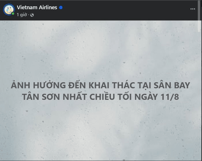  - Ảnh 4.