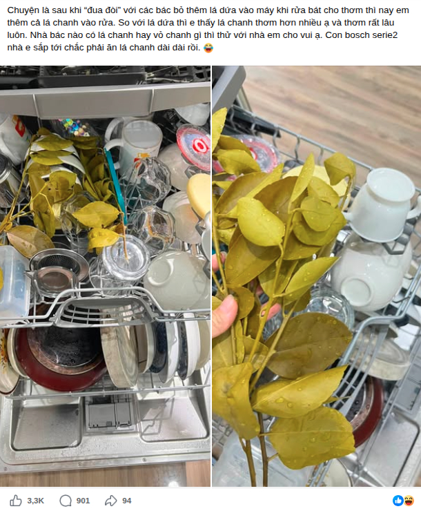 Viral mẹo sử dụng l&aacute; chanh trong m&aacute;y rửa b&aacute;t - Ảnh 1.