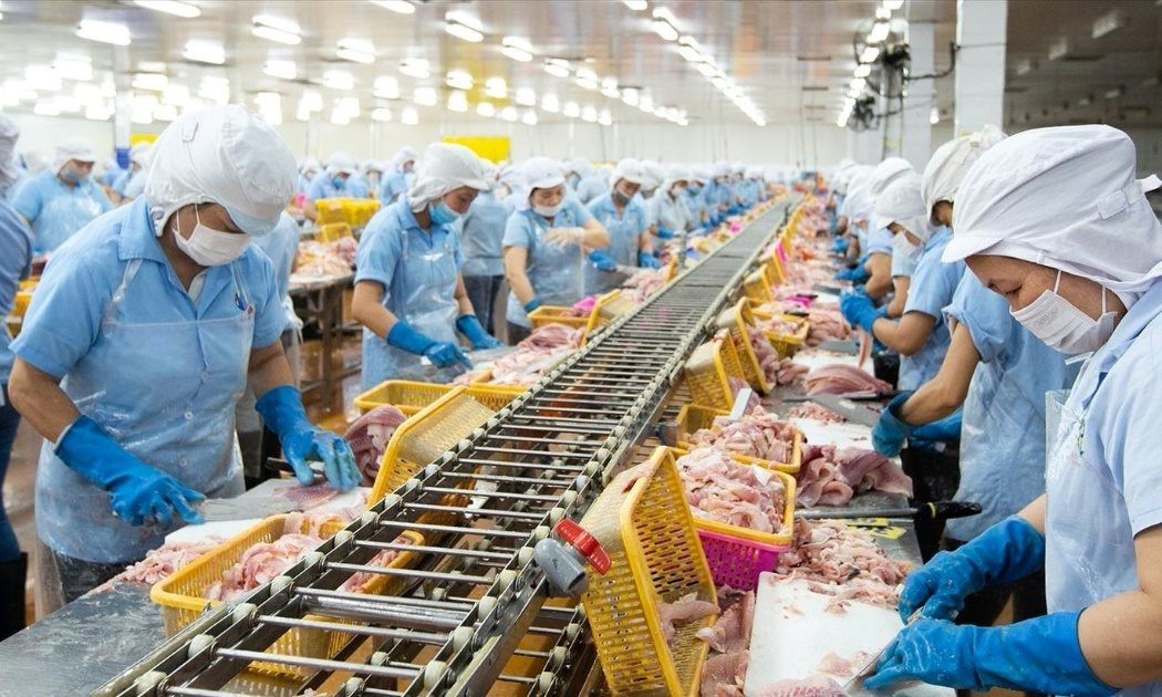 Con trai 'vua c&aacute; r&ocirc; phi' lần thứ 3 mua th&ecirc;m 1 triệu cổ phiếu ANV khi thị gi&aacute; giảm gần 40% từ đầu năm - Ảnh 1.