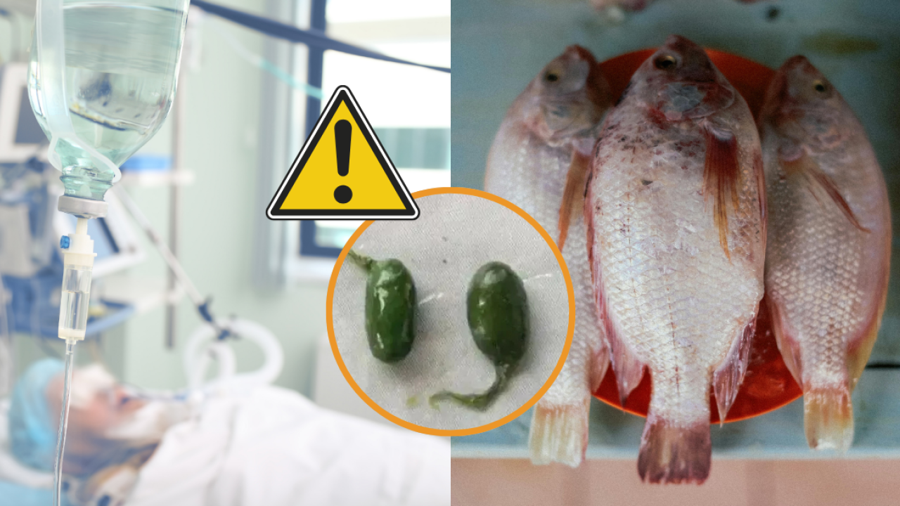 Ăn 1 bộ phận của c&aacute;, người phụ nữ suy thận cấp, suy gan: B&aacute;c sĩ cảnh b&aacute;o &ldquo;nấu ch&iacute;n vẫn nguy hiểm&rdquo; - Ảnh 1.