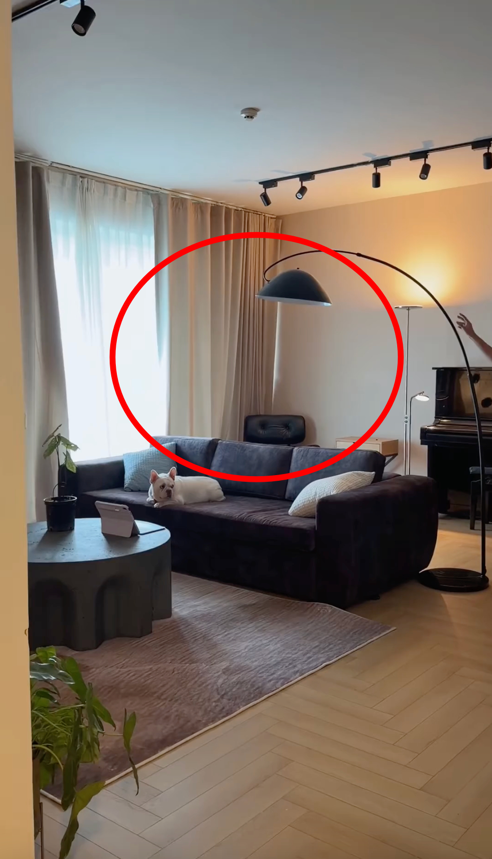 Binz đến tổ ấm mới của Ch&acirc;u B&ugrave;i- Ảnh 2.
