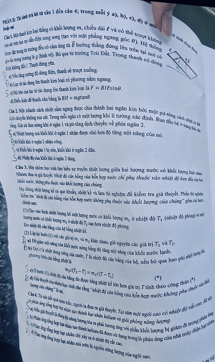  - Ảnh 3.