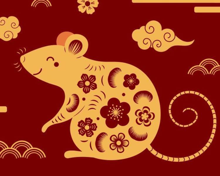 Tuổi Tý làm nghề gì nhanh giàu? - Ảnh 3. Tuổi Tý làm nghề gì nhanh giàu? - Ảnh 3.