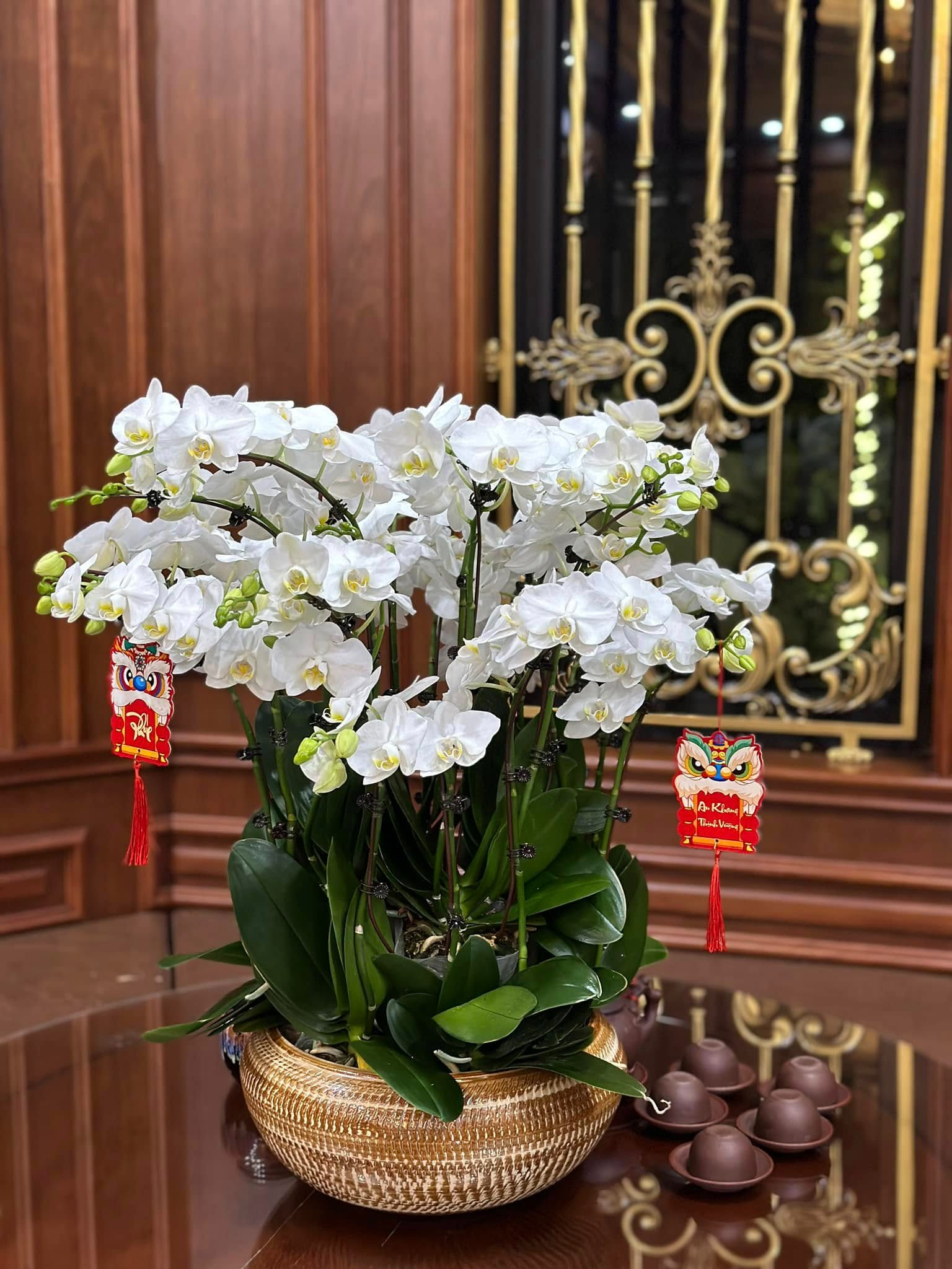 Căn nhà ở quê của Văn Toàn- Ảnh 7.