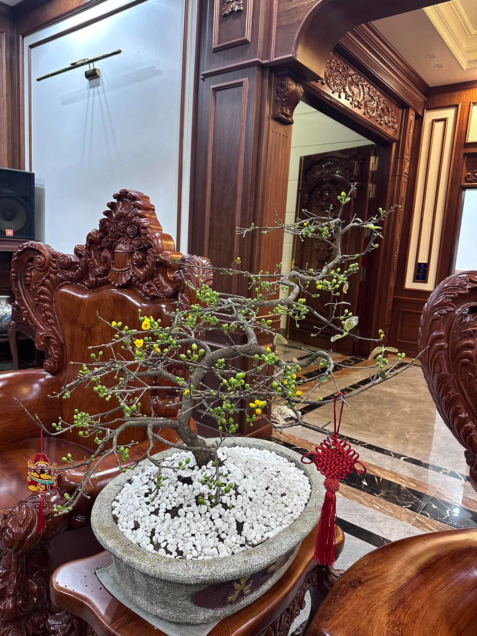 Căn nhà ở quê của Văn Toàn- Ảnh 6.