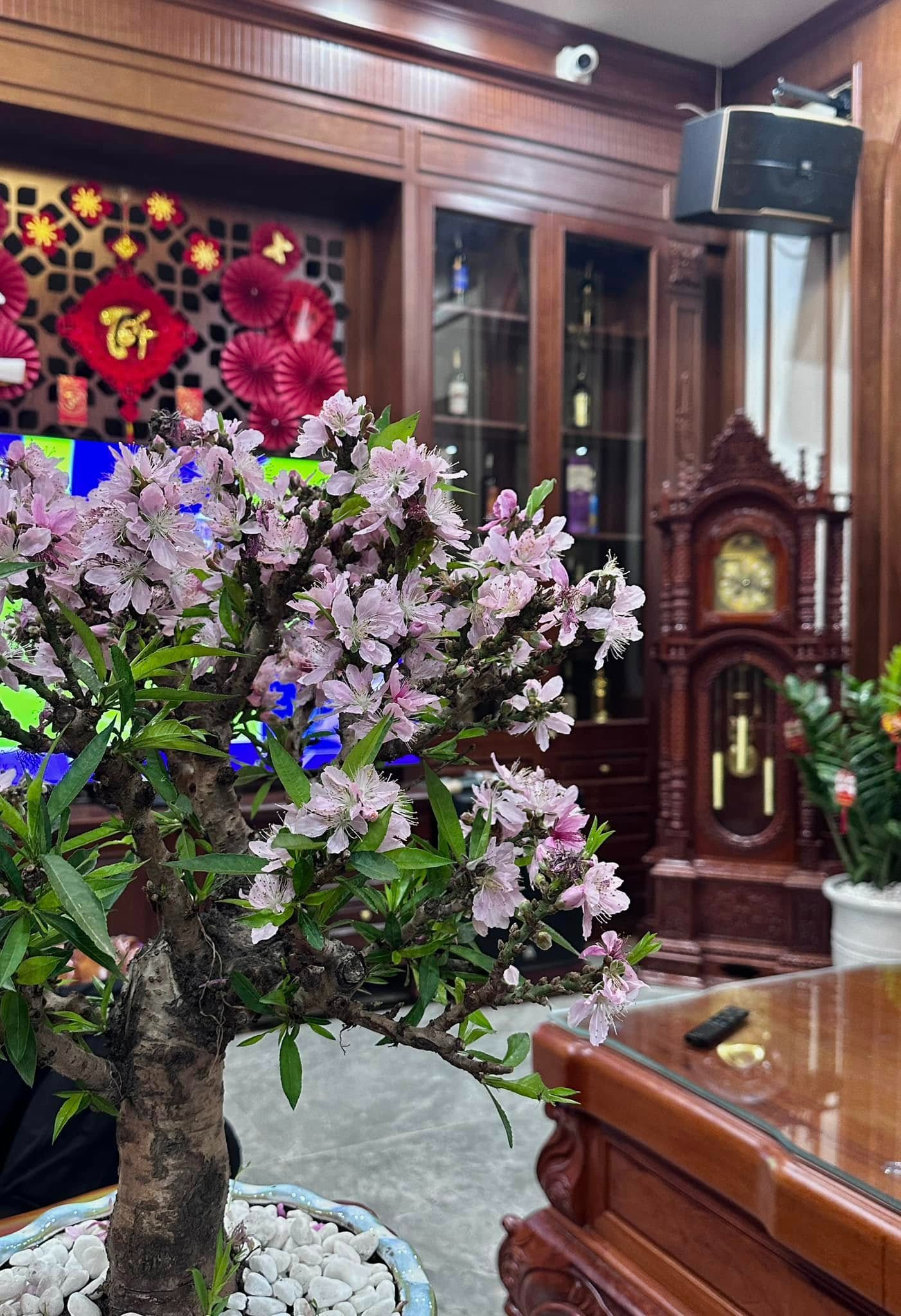 Căn nhà ở quê của Văn Toàn- Ảnh 5.