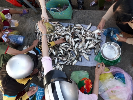 5 loại c&aacute; ngon, bổ rẻ hơn c&aacute; ngọai, dễ t&igrave;m ở chợ Việt - Ảnh 10.