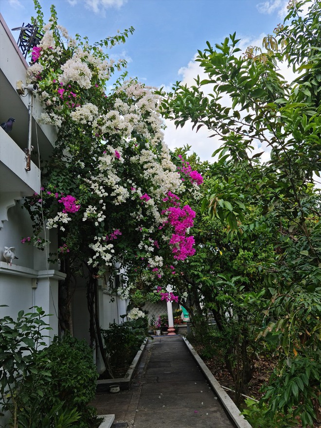  - Ảnh 9.