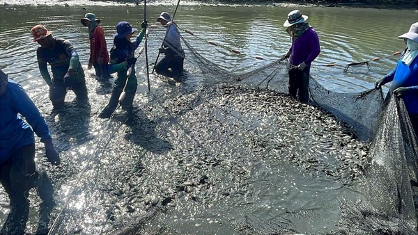 Đi bắt cá về ăn tối, người đàn ông kéo lên gần 200 kg thứ phủ kín thuyền: Chuyên gia chỉ ra điều đáng lo - Ảnh 4.