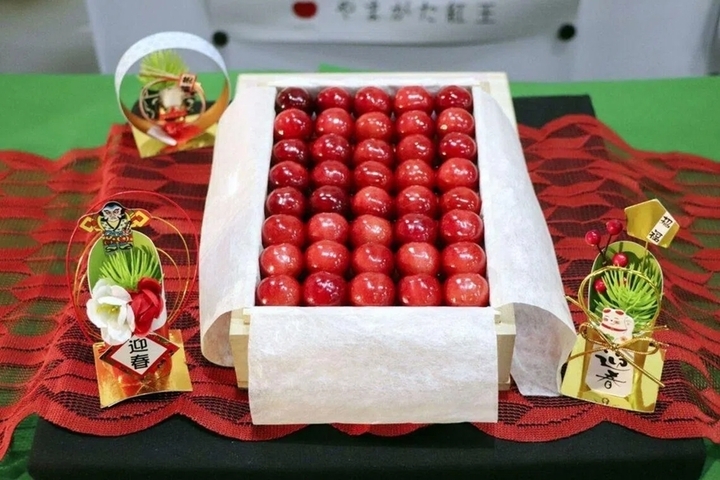 Cherry Nhật hơn 4 triệu đồng/tr&aacute;i được trồng cầu kỳ thế n&agrave;o? - Ảnh 1.