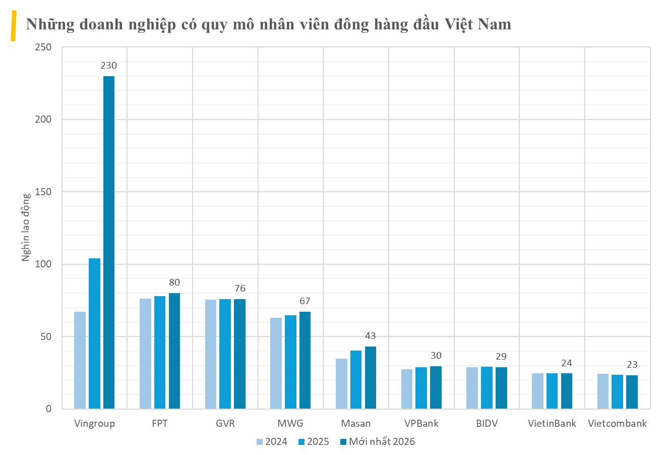 Đằng sau 1,2 triệu việc làm: Vingroup, FPT cùng PVN, Viettel ... đang gồng gánh bức tranh lao động ra sao? - Ảnh 3.