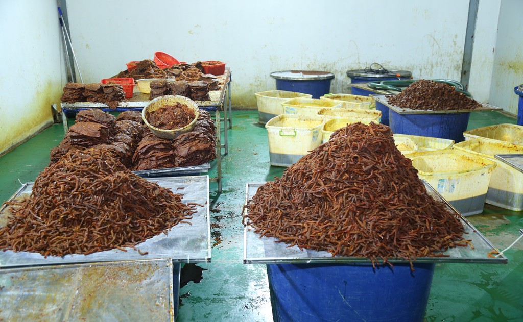 Công an đồng loạt kiểm tra Trần Lê Foods và Mộc Food, bắt giam bà chủ Nguyễn Thị Thúy SN 1989 - Ảnh 2.