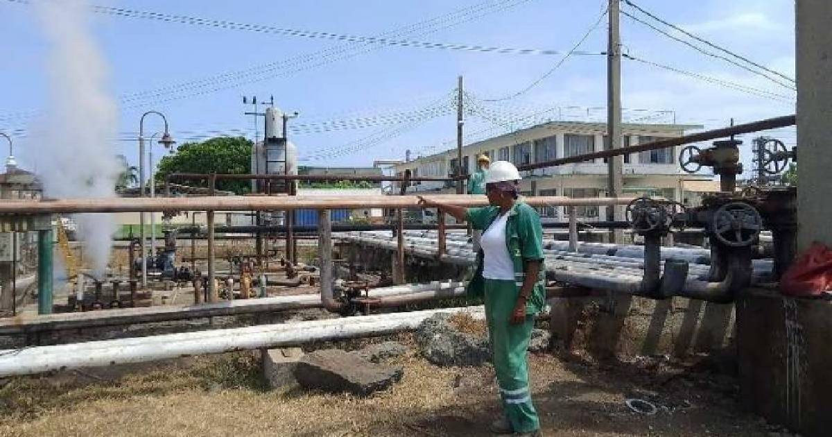 Tin vui lớn với Cuba: Một doanh nghiệp vừa khai thác được “kho báu” 10.000 tấn - Ảnh 1.