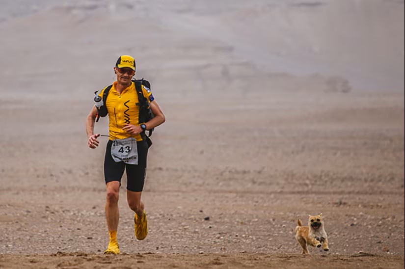 Ch&uacute; ch&oacute; hoang chạy 125 km c&ugrave;ng vận động vi&ecirc;n si&ecirc;u marathon - Ảnh 1.