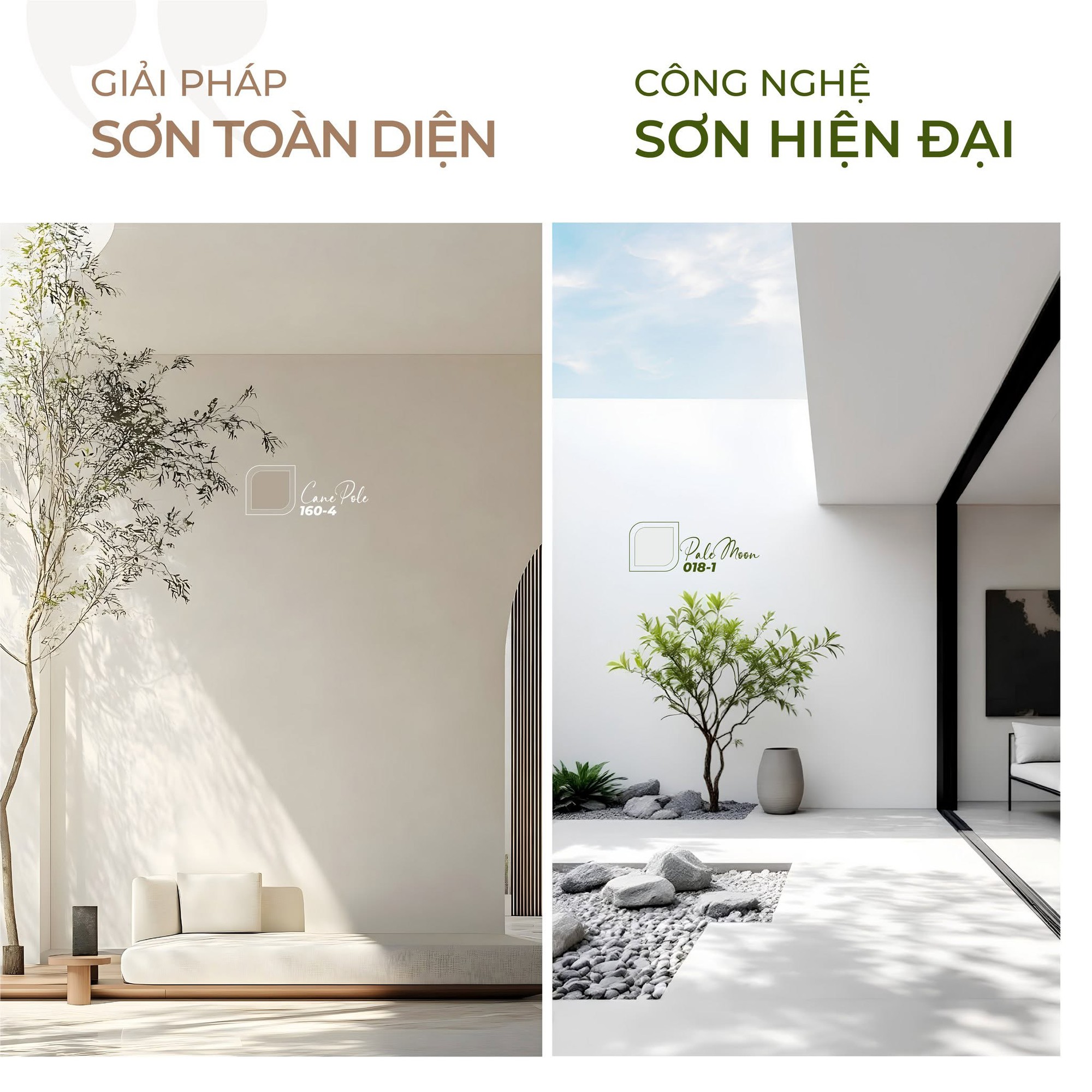 Xu hướng sơn bền vững cho không gian tương lai - Ảnh 1. Xu hướng sơn bền vững cho không gian tương lai - Ảnh 1.