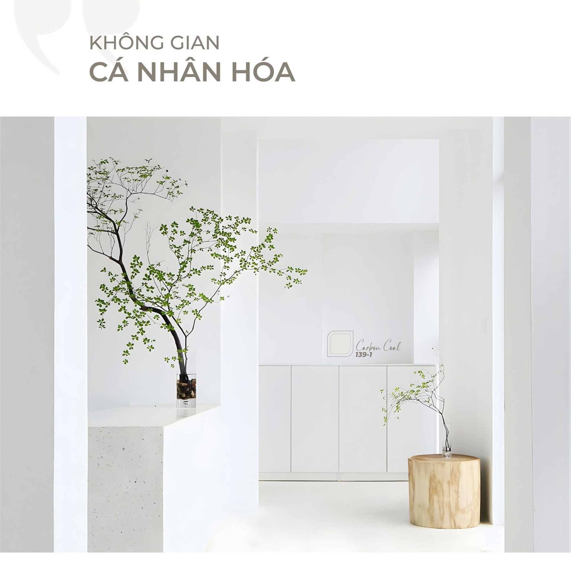 Xu hướng sơn bền vững cho không gian tương lai - Ảnh 2. Xu hướng sơn bền vững cho không gian tương lai - Ảnh 2.