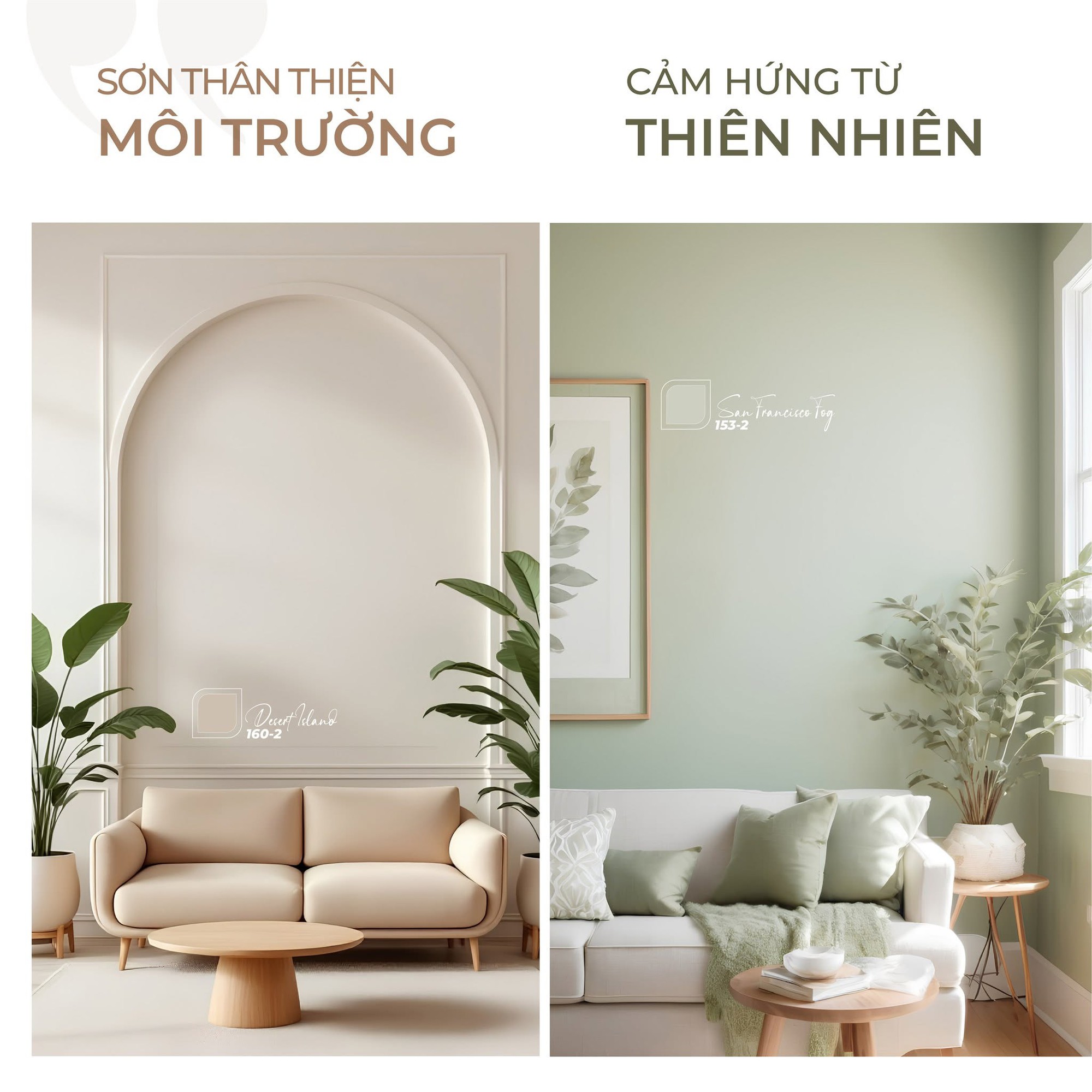 Xu hướng sơn bền vững cho không gian tương lai - Ảnh 3. Xu hướng sơn bền vững cho không gian tương lai - Ảnh 3.