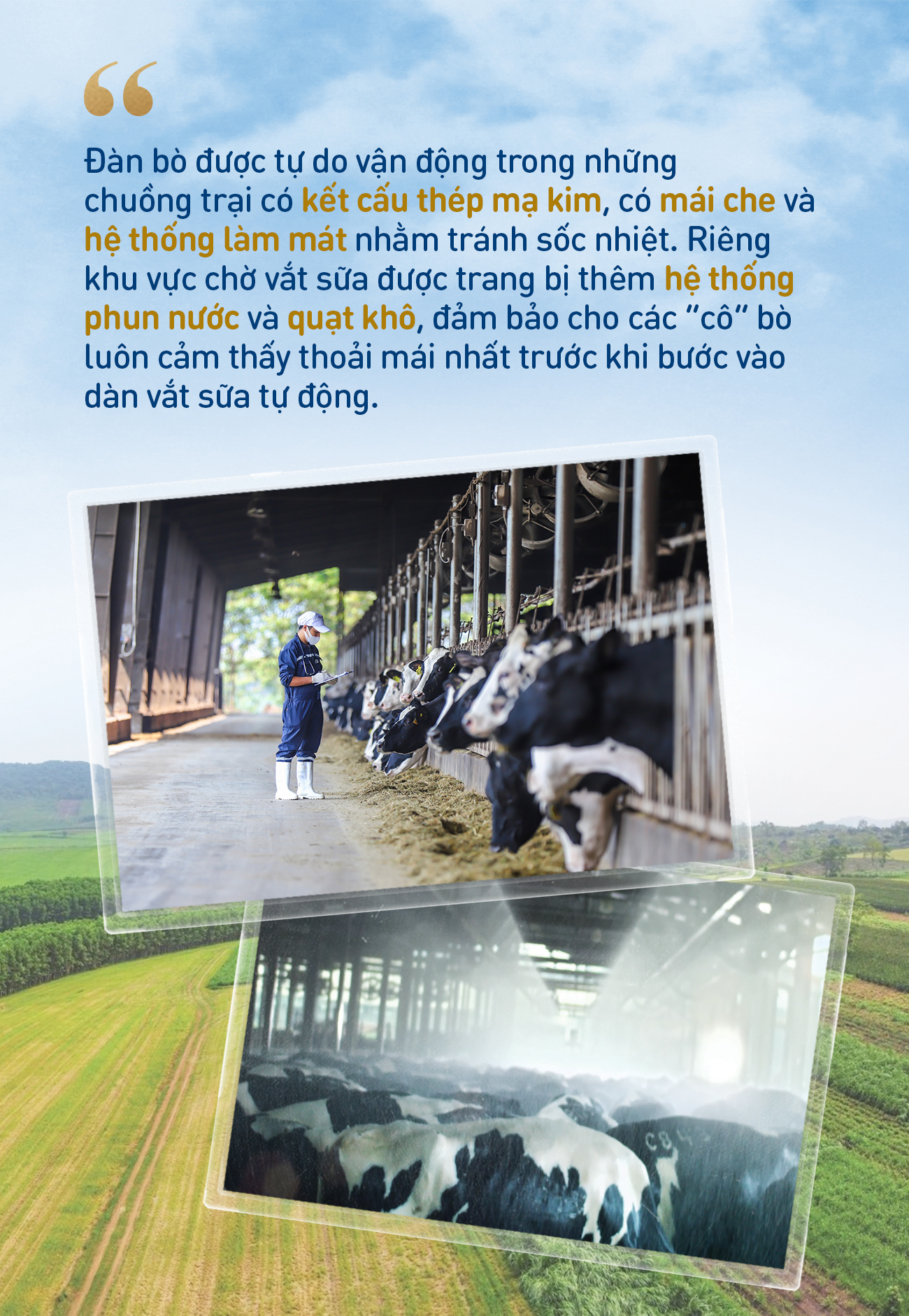Những điểm nhấn làm nên chất lượng hàng đầu của sữa tươi sạch TH true MILK - Ảnh 1. Những điểm nhấn làm nên chất lượng hàng đầu của sữa tươi sạch TH true MILK - Ảnh 1.