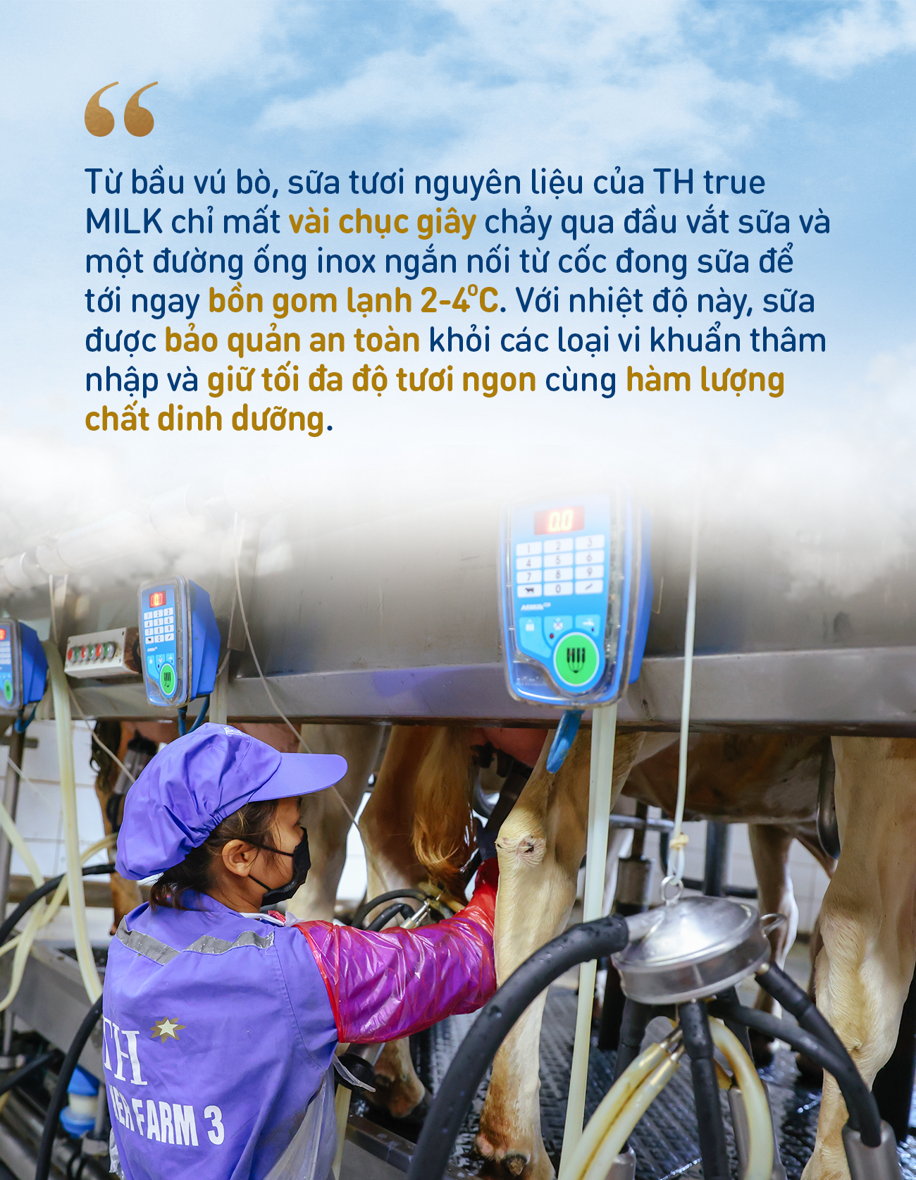 Những điểm nhấn làm nên chất lượng hàng đầu của sữa tươi sạch TH true MILK - Ảnh 5. Những điểm nhấn làm nên chất lượng hàng đầu của sữa tươi sạch TH true MILK - Ảnh 5.