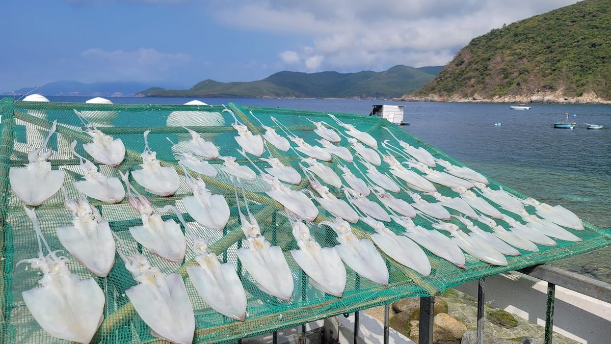 Đảo  c&oacute; nước biển trong nhất Việt Nam chưa c&oacute; kh&aacute;ch sạn - Ảnh 10.