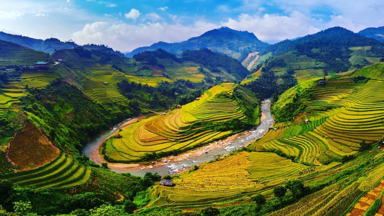 2,19 triệu cho 15 ph&uacute;t bay d&ugrave; lượn ngắm m&ugrave;a v&agrave;ng Sapa đẹp như tranh - Ảnh 1.