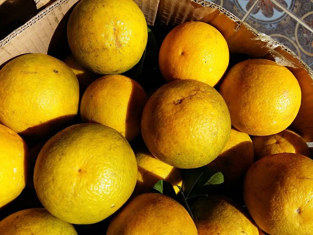 13 loại quả giàu canxi bậc nhất- Ảnh 1.
