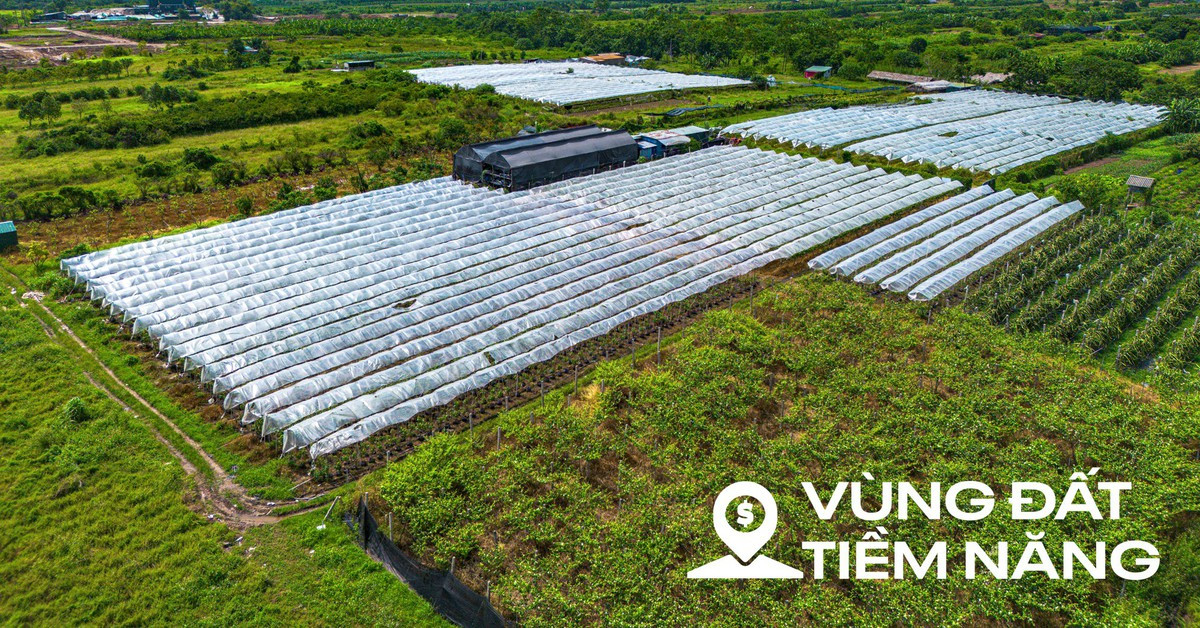 To&agrave;n cảnh khu đất ven s&ocirc;ng Hồng, nơi c&oacute; thể x&acirc;y th&aacute;p đ&ocirc;i nhiều tầng nhất thế giới, diện t&iacute;ch s&agrave;n gấp hơn 2 lần Burj Khalifa - Ảnh 1.