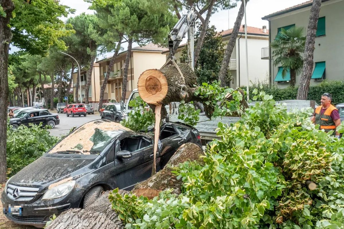 Cảnh tượng 3 máy bay bị gió hất văng tại sân bay Italy - Ảnh 2. Cảnh tượng 3 máy bay bị gió hất văng tại sân bay Italy - Ảnh 2.