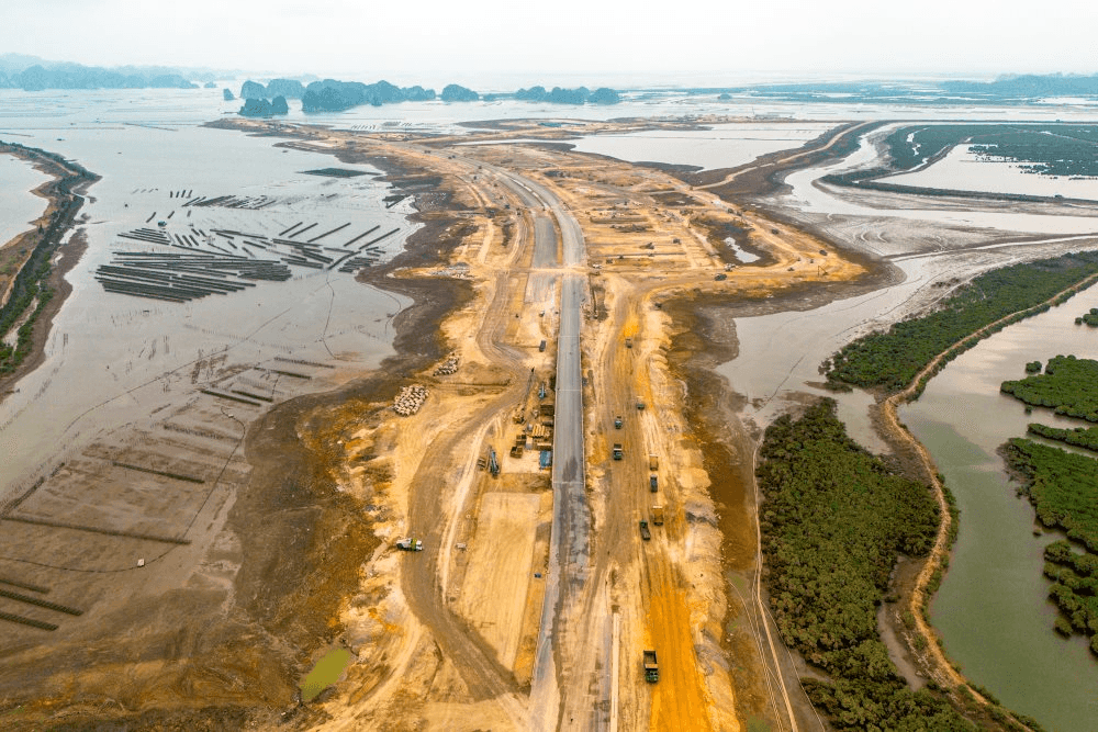 Tỷ ph&uacute; Phạm Nhật Vượng đang cho x&acirc;y "si&ecirc;u" đ&ocirc; thị biển 18 tỷ USD lớn nhất Việt Nam, nơi quy hoạch c&ocirc;ng vi&ecirc;n c&acirc;u c&aacute; rừng ngập mặn 800 ha, rộng gấp 45 lần s&acirc;n Mỹ Đ&igrave;nh - Ảnh 4.
