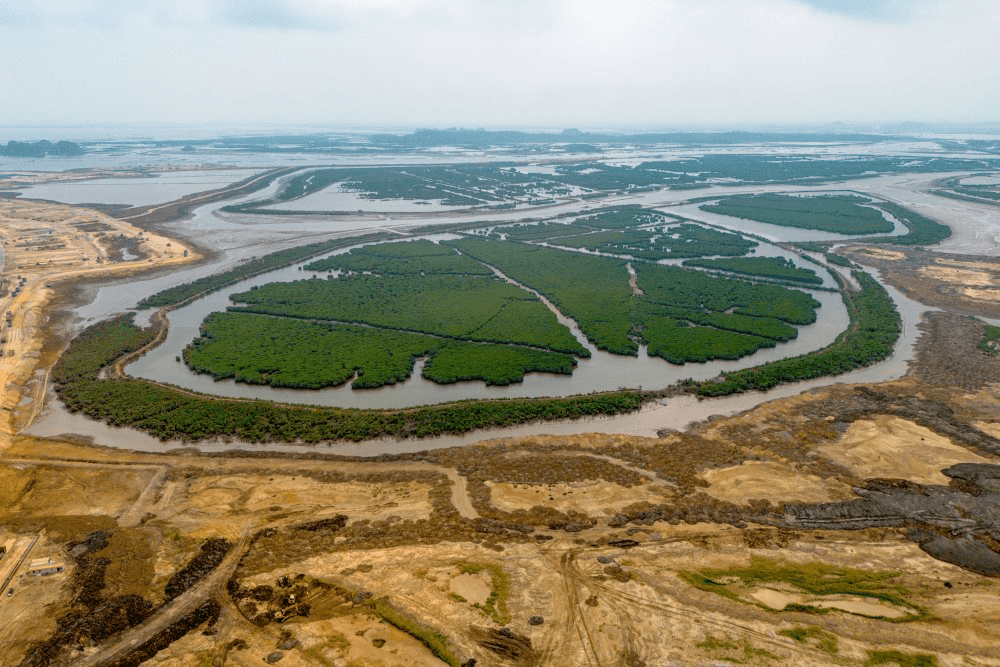 Tỷ ph&uacute; Phạm Nhật Vượng đang cho x&acirc;y "si&ecirc;u" đ&ocirc; thị biển 18 tỷ USD lớn nhất Việt Nam, nơi quy hoạch c&ocirc;ng vi&ecirc;n c&acirc;u c&aacute; rừng ngập mặn 800 ha, rộng gấp 45 lần s&acirc;n Mỹ Đ&igrave;nh - Ảnh 5.