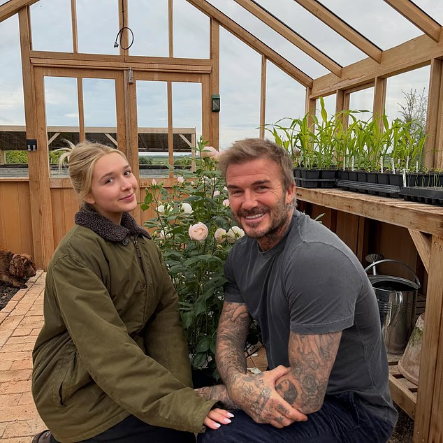 Tiểu thư Harper tự tay thiết kế bông hồng đặc biệt tặng bố, David Beckham liền mang bó hoa đi đăng kí thương hiệu mới "oách" - Ảnh 1.