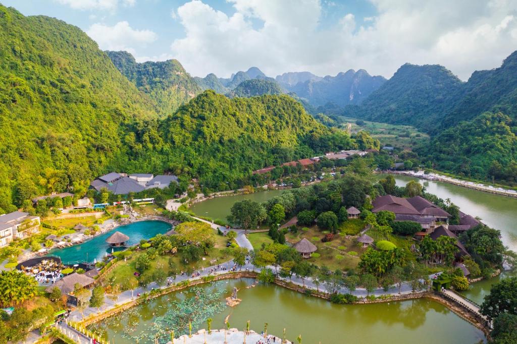 Phát hiện cây đa hơn 1.000 năm tuổi