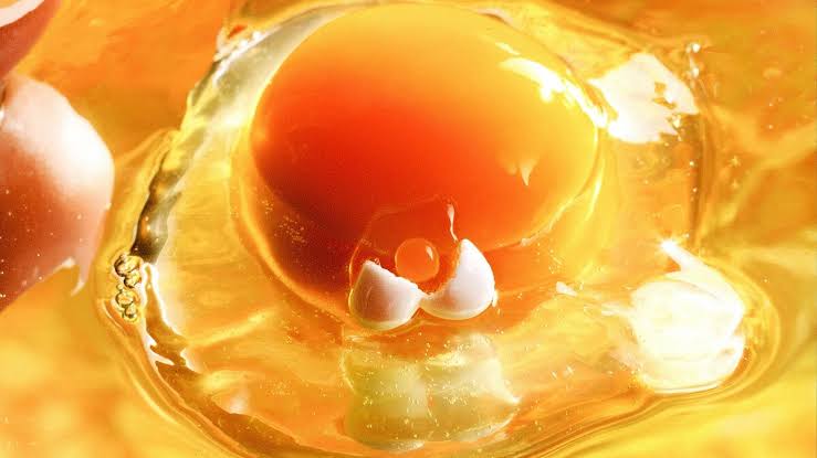 Ăn 2 quả trứng mỗi ng&agrave;y vẫn c&oacute; thể giảm cholesterol xấu, nhưng cần nhớ 1 điều - Ảnh 2.