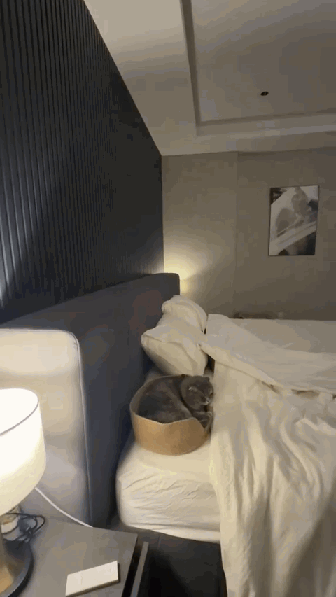 Tiểu thư H&agrave; th&agrave;nh lấy chồng Thạc sĩ: Mua penthouse 11 tỷ l&agrave;m nh&agrave; t&acirc;n h&ocirc;n, ở 2 năm mới nhận ra c&oacute; một thứ n&ecirc;n thay đổi- Ảnh 12.