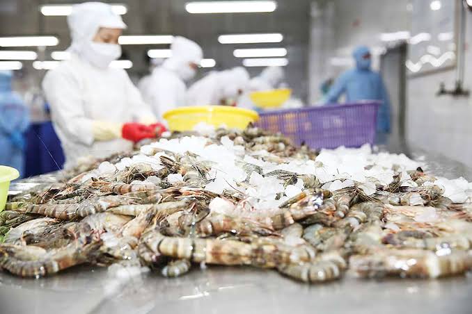 Trung Quốc, Mỹ, Nhật đua nhau đặt, Việt Nam mỏi tay đếm đơn hàng - Ảnh 1.