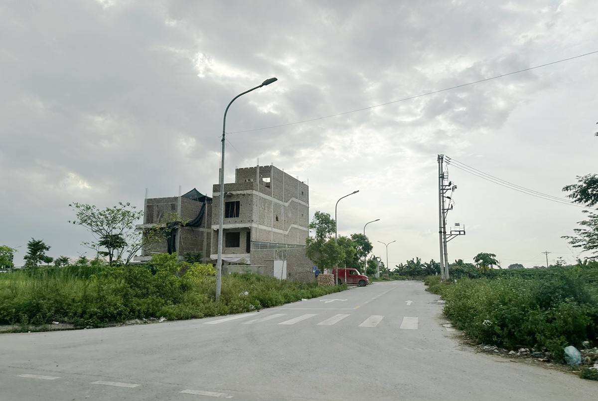 - Ảnh 2. - Ảnh 2.