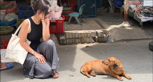 Mẹ đơn th&acirc;n được đại gia Việt kiều rước về l&agrave;m vợ, sang Mỹ định cư nhưng cuối c&ugrave;ng c&oacute; c&aacute;i kết buồn- Ảnh 1.