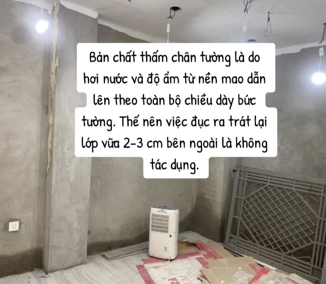 - Ảnh 12. - Ảnh 12.