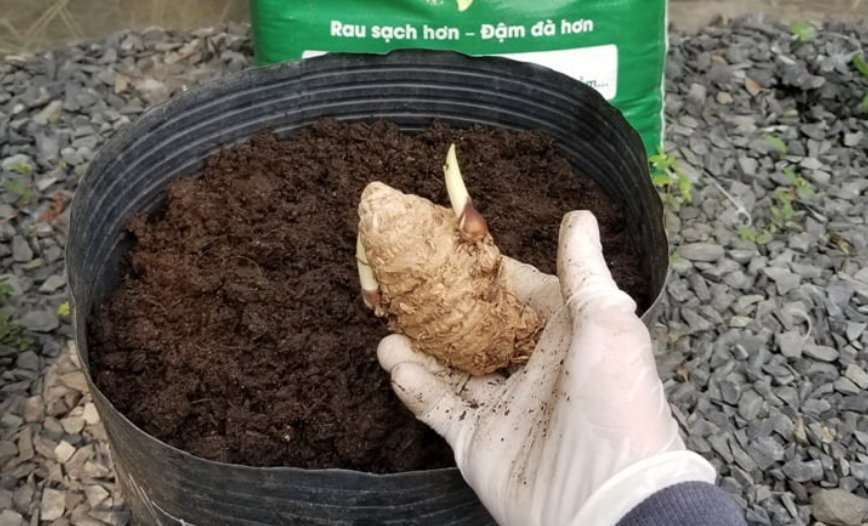  - Ảnh 1.