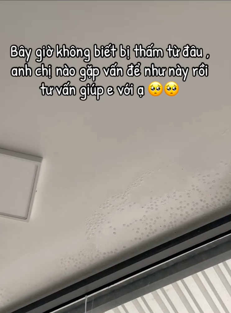 - Ảnh 3. - Ảnh 3.