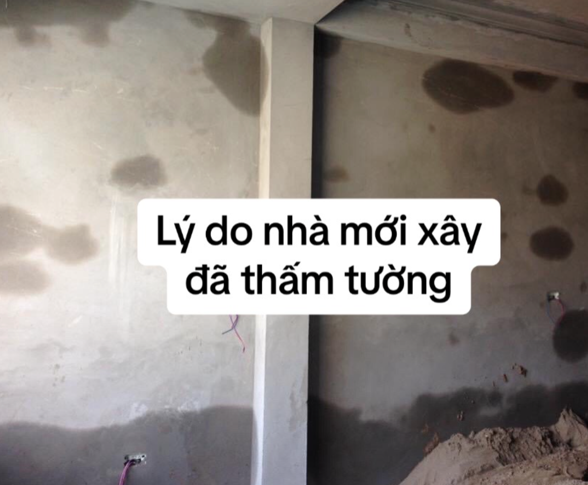 - Ảnh 9. - Ảnh 9.